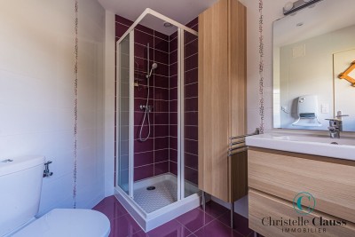 Maison - WASSERBOURG - 238m² - 5 chambres