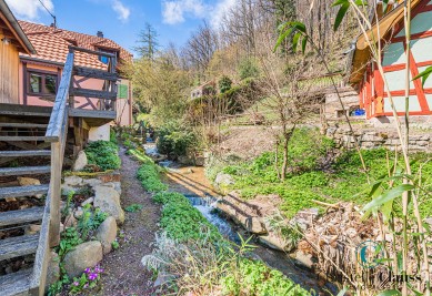 Maison - WASSERBOURG - 238m² - 5 chambres