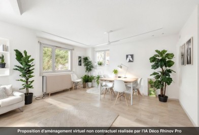 Appartement - ERSTEIN - 172m²