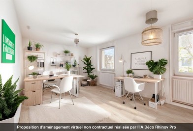 Appartement - ERSTEIN - 172m²