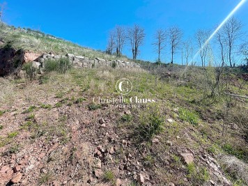 Terrain - MUTZIG - 1136m²