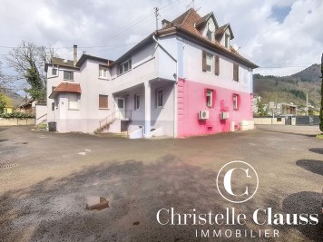 Immeuble - BITSCHWILLER LES THANN - 1030m²
