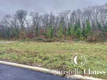Terrain - ISSENHEIM - 342m²