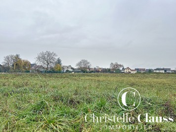 Terrain - ISSENHEIM - 984m²