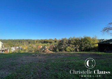 Terrain - BUSCHWILLER - 1022m²