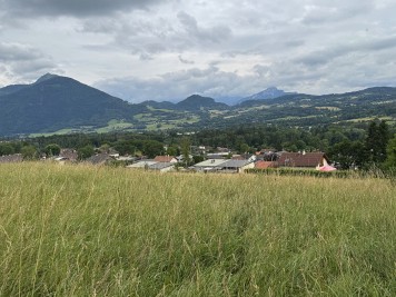 Terrain - VIUZ EN SALLAZ - 656m²