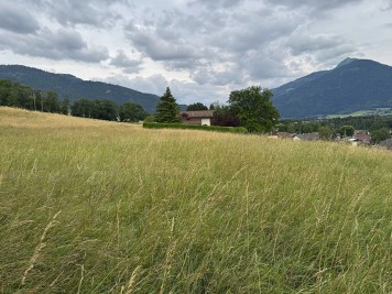 Terrain - VIUZ EN SALLAZ - 660m²
