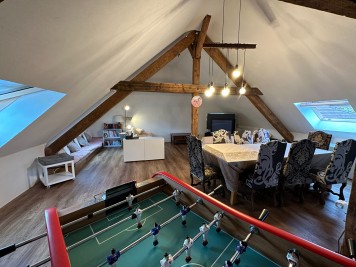 Immeuble - FEGERSHEIM - 677m² - 6 chambres