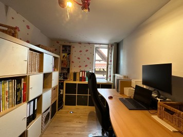 Immeuble - FEGERSHEIM - 677m² - 6 chambres