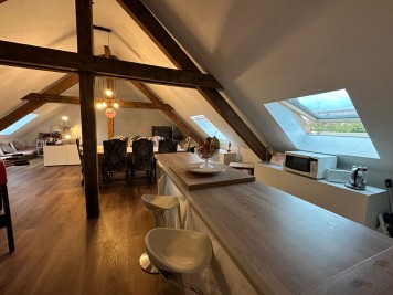 Immeuble - FEGERSHEIM - 677m² - 6 chambres