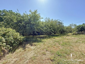 Terrain - REININGUE - 1096m²