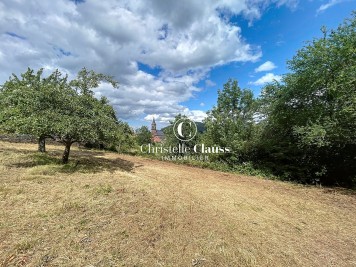 Terrain - GRENDELBRUCH - 736m²