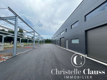 Local professionnel - HORBOURG WIHR - 147m²
