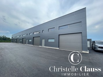 Local professionnel - HORBOURG WIHR - 147m²