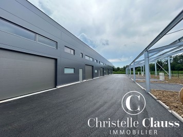 Local professionnel - HORBOURG WIHR - 147m²