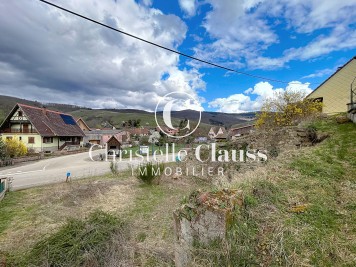 Terrain - ALBE - 477m²