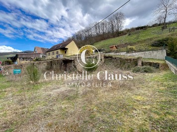 Terrain - ALBE - 477m²