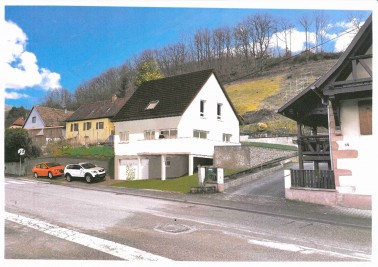 Terrain - ALBE - 477m²