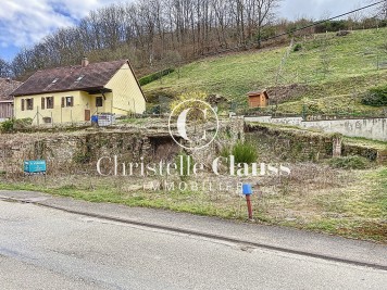 Terrain - ALBE - 477m²