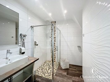 Maison - SELTZ - 1000m² - 5 chambres