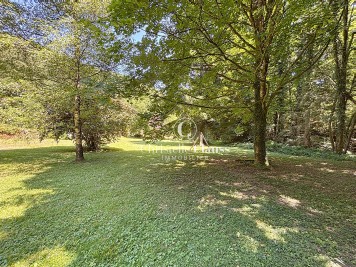 Terrain - MOLLKIRCH - 2506m²
