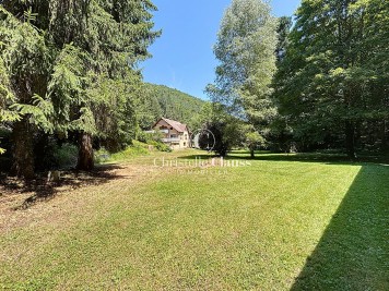 Terrain - MOLLKIRCH - 2506m²