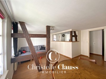 Appartement - STRASBOURG - 53m² - 1 chambre