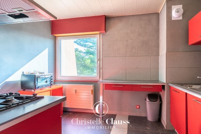 Appartement - ERSTEIN - 50m² - 1 chambre