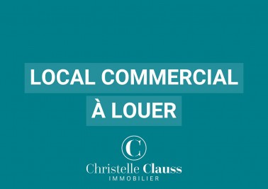 Local professionnel - GUNDERSHOFFEN - 70m²