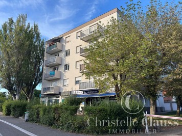 Appartement - ILLKIRCH GRAFFENSTADEN - 46m² - 1 chambre