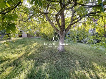 Maison - BOERSCH - 150m² - 5 chambres