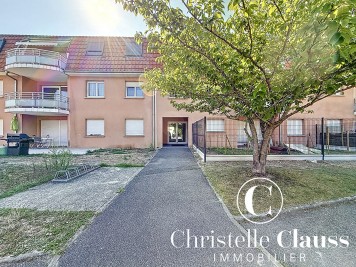 Appartement - HABSHEIM - 50m² - 1 chambre