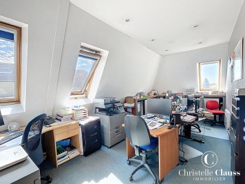 Local professionnel - BISCHWILLER - 55m²
