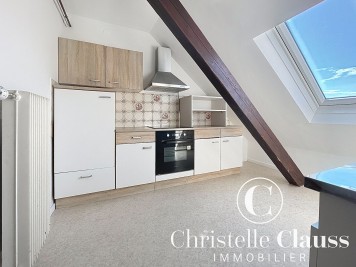Appartement - SCHILTIGHEIM - 67m² - 3 chambres