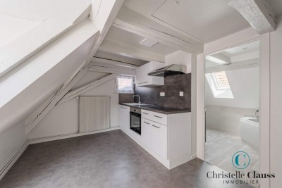 Immeuble - OBERNAI - 230m² - 5 chambres