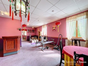 Maison - BISCHWILLER - 279m² - 5 chambres