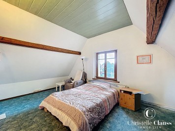 Maison - BISCHWILLER - 279m² - 5 chambres