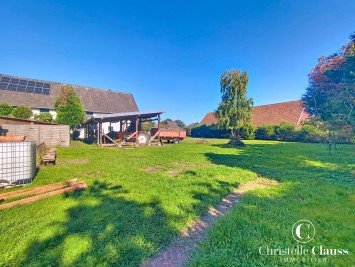 Terrain - OBERHOFFEN SUR MODER - 1160m²