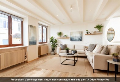 Maison - BENFELD - 245m² - 8 chambres