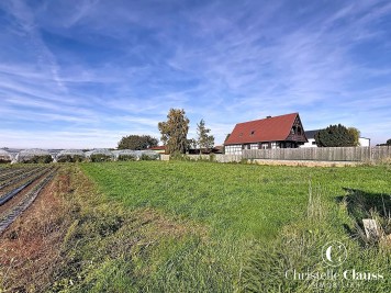 Terrain - SCHNERSHEIM - 1000m²