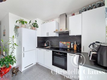 Appartement - GEUDERTHEIM - 41m² - 1 chambre