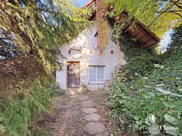 Maison - RIXHEIM - 245m² - 5 chambres