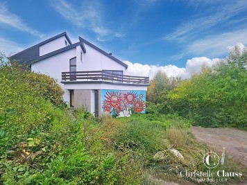 Maison - NIEDERBRONN LES BAINS - 378m² - 5 chambres
