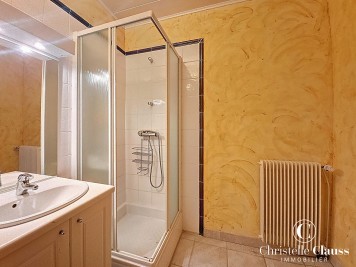 Maison - NIEDERBRONN LES BAINS - 378m² - 5 chambres