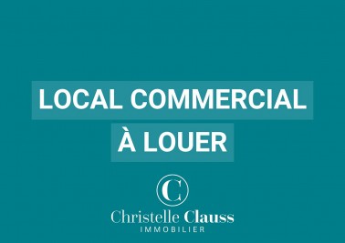 Local professionnel - STRASBOURG - 38m²