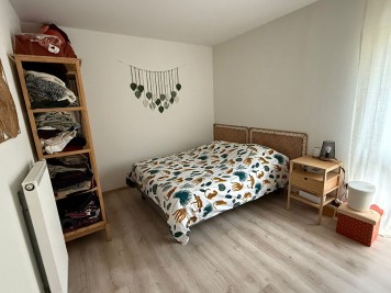 Appartement - KEMBS - 45m² - 1 chambre