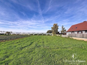 Terrain - SCHNERSHEIM - 1000m²