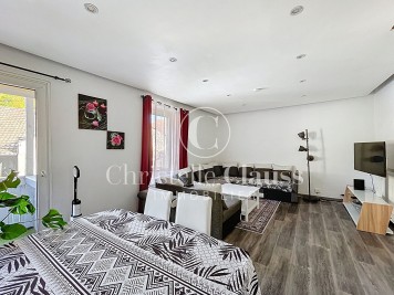 Maison - COLMAR - 306m² - 8 chambres