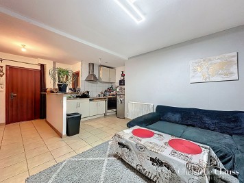 Maison - GUNSBACH - 177m² - 8 chambres