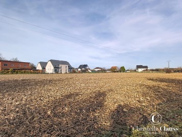 Terrain - DRUSENHEIM - 1497m²